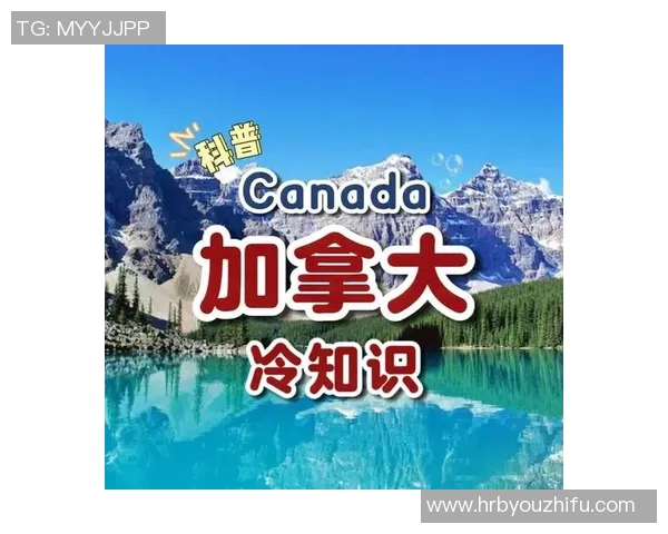 你不知道的VAR:十大冷知识大揭秘 你不知道的VAR:十大冷知识大揭秘