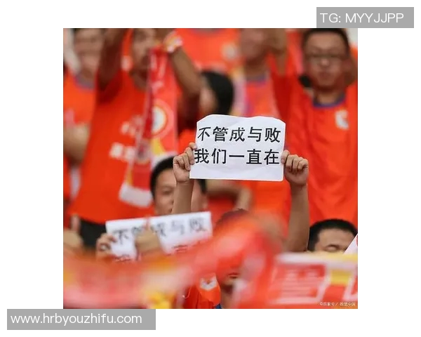 球迷众筹建训练场，仅用10天就完成筹资目标