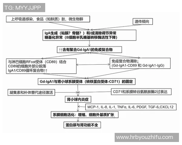 NBA球队伤病情况对赛季整体表现与胜负成绩影响的系统性研究